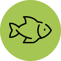 Fish and Fish Habitat (July - November)