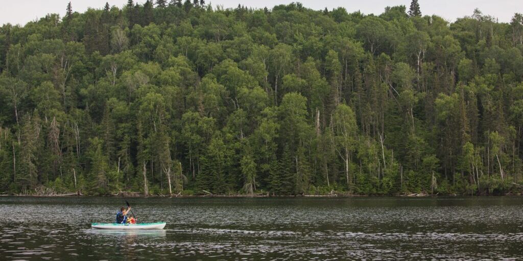 A person rows a kayak with a forest in the background.